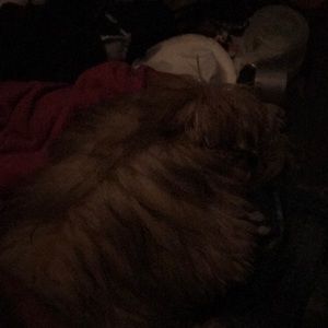 Meet your Posher, Tyrone